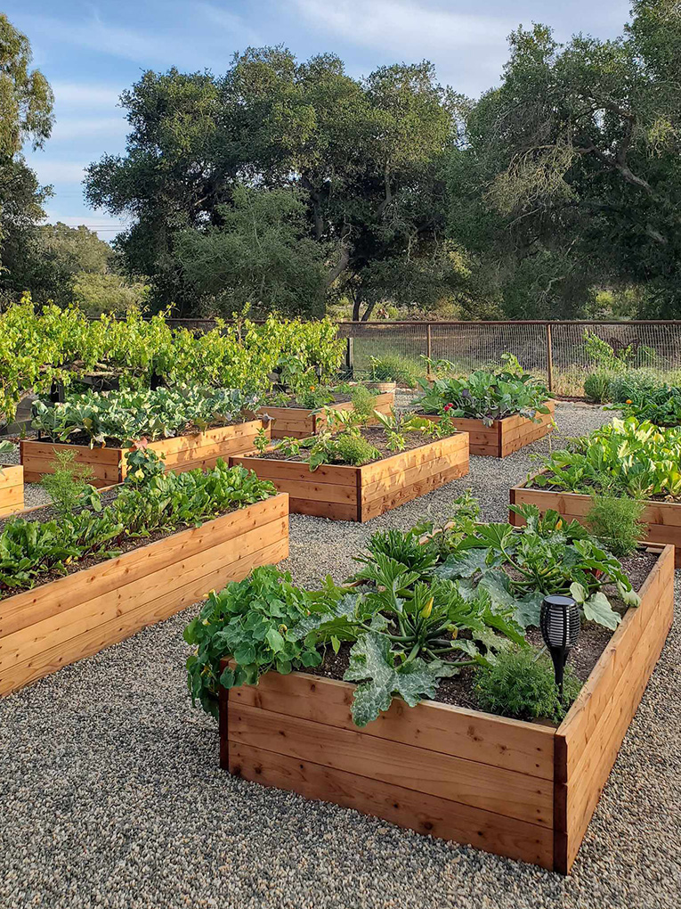 Raised Garden Beds Melbourne