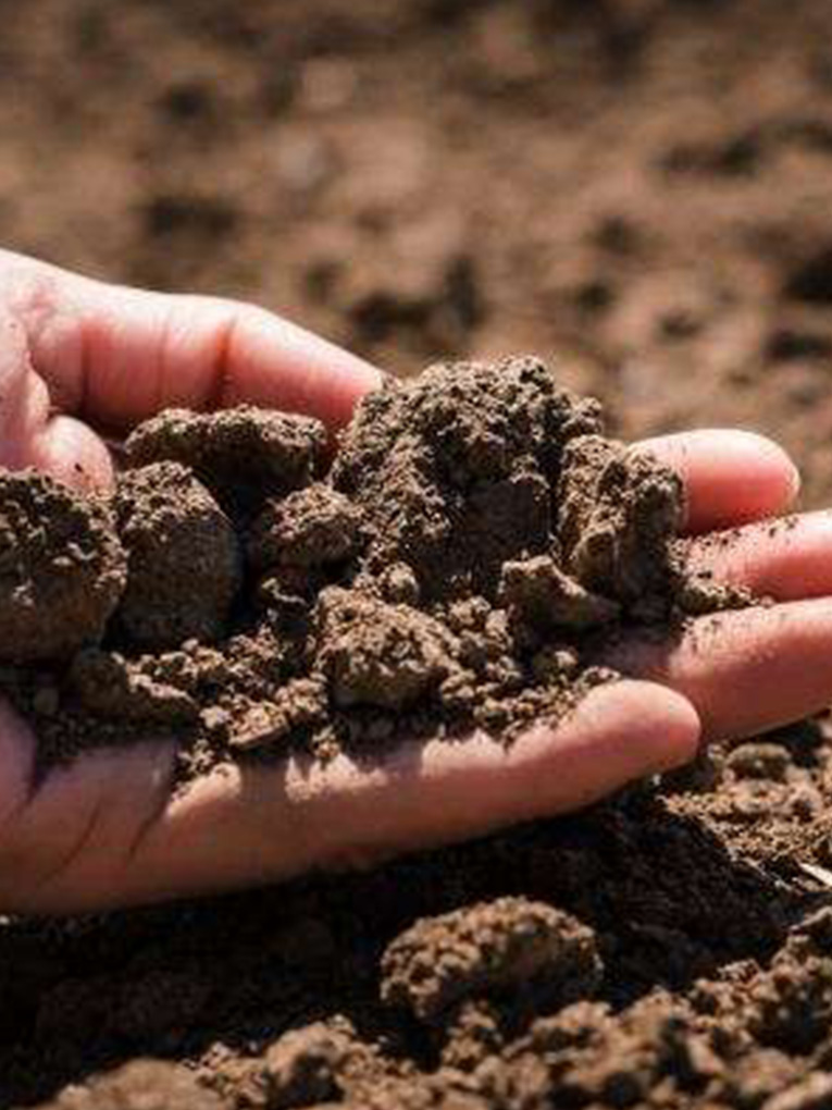 Soil Preparation Melbourne