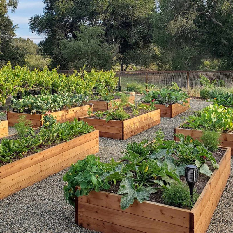 Raised Garden Beds Melbourne