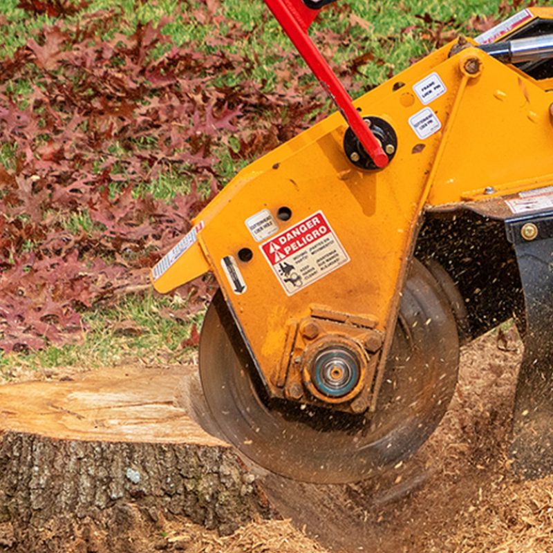 Stump-Grinding